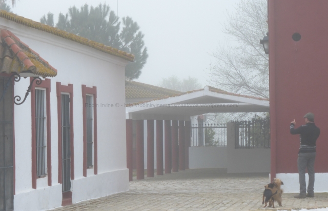 Joaquín con sus perros en la niebla de la mañana. Desde el momento cuando se despierta, está en contacto con el representante y ganadero de la ganadería, con compradores de toros y mucha gente que necesita algo del mayoral.
