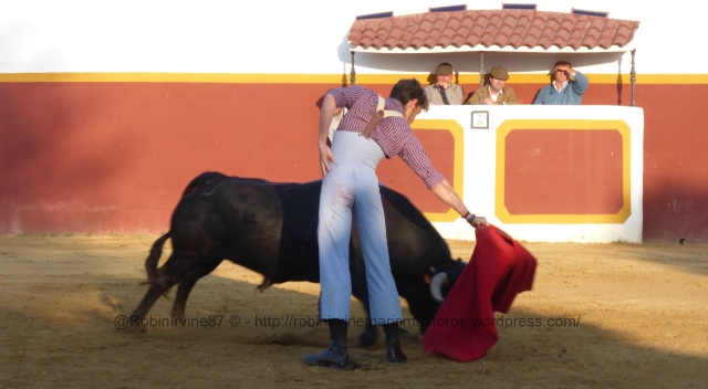 Manuel Escribano and an excellent bull from Partido de Resina – watched with appreciation by the foreman, owner and representative of the ranch. The bull was consistent, charging the cloth at a gallop when cited, with his head down and full commitment. “Buen torero y buen toro” (“Good bullfighter and good bull”) was the comment that echoed round the plaza after the bull had exited.